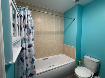 Picture 7